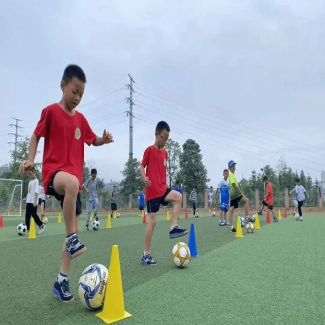 电竞季后赛战术变化解析与阵容视角探讨